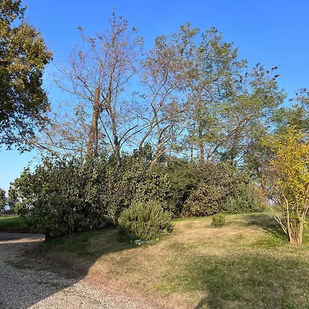 Al Vigneto Vigolzone